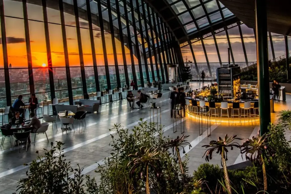 Rhubarb at Sky Garden